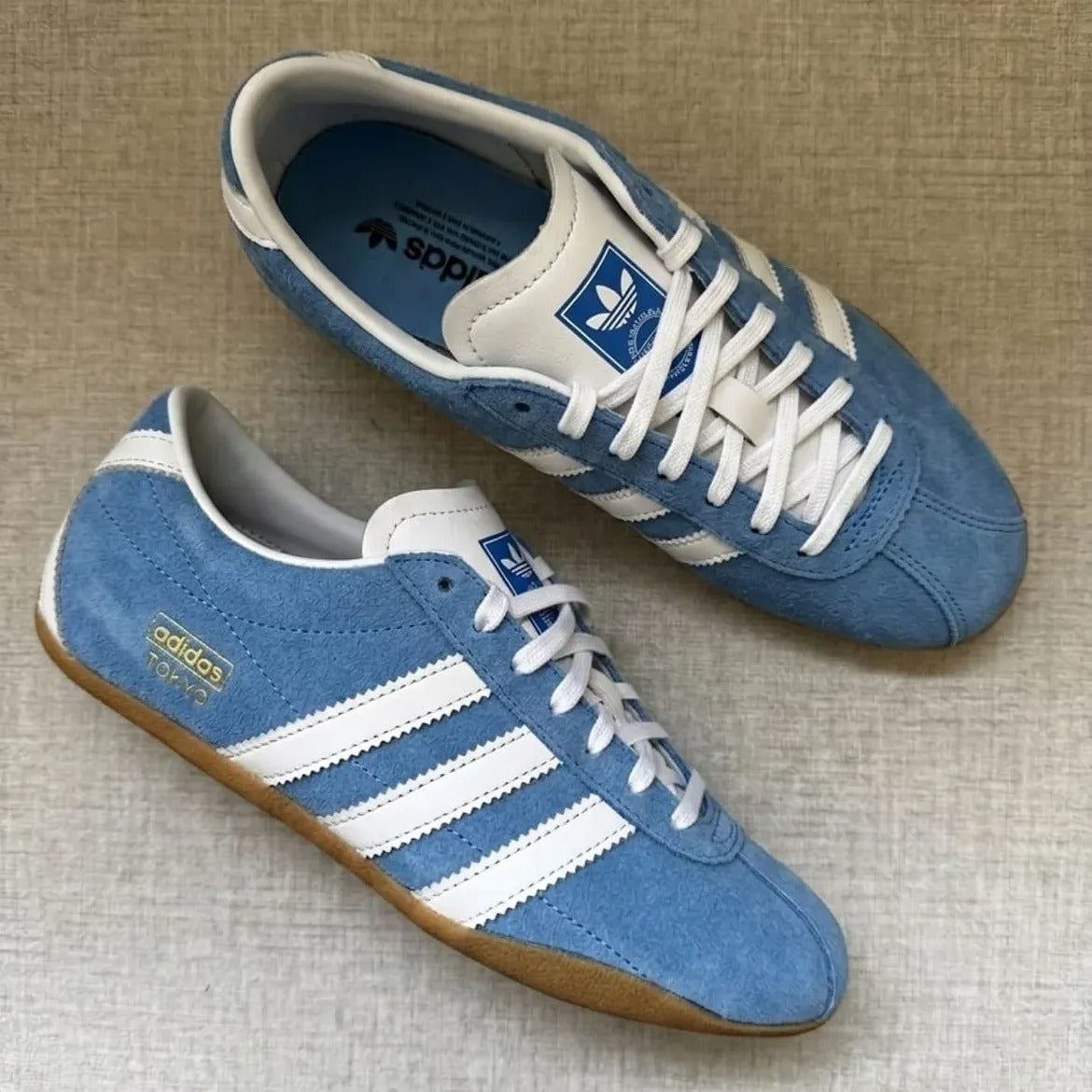 Tokyo Azul 🥶